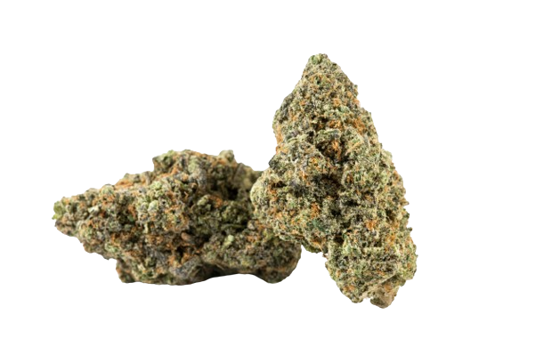 Flower Bud at Doctor Dutch Online Cannabis Dispensary Canada