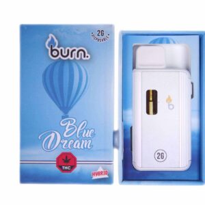 Burn Vape 2mL