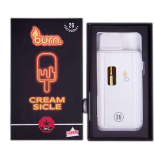 Burn Vape 2mL