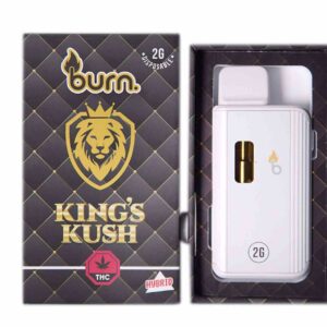 Burn Vape 2mL