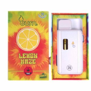 Burn Vape 2mL