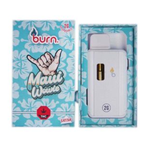 Burn Vape 2mL