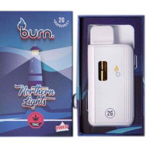 Burn Vape 2mL