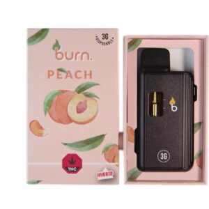 Burn Vape 3mL
