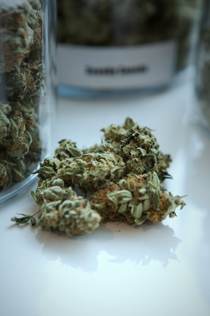 green kush beside jar at Doctor Dutch Online Cannabis Dispensary Canada
