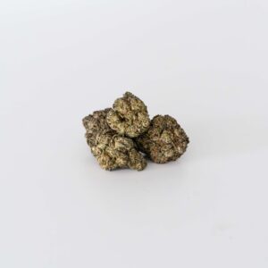 King Louis XIII
