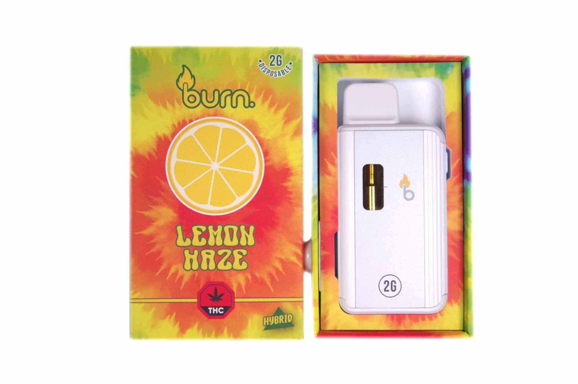 Burn Vape 2mL