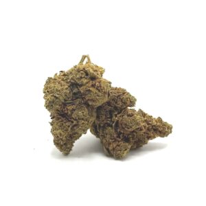 Dried cannabis buds on a white background with frosty crystals visible.