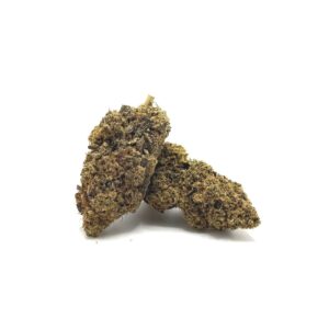Two dried cannabis buds on a white background