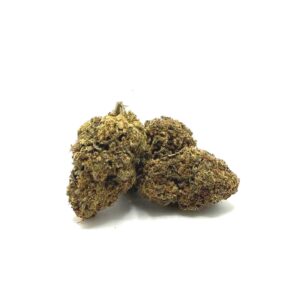 Two dried cannabis buds on a white background.