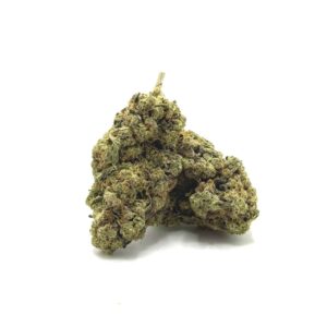 Close-up of a dense cannabis bud with frosty trichomes on a white background